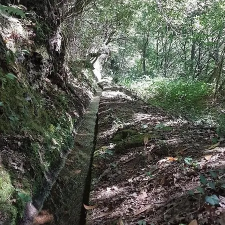 Casa Curral Do Alqueve Σπίτι διακοπών Destriz